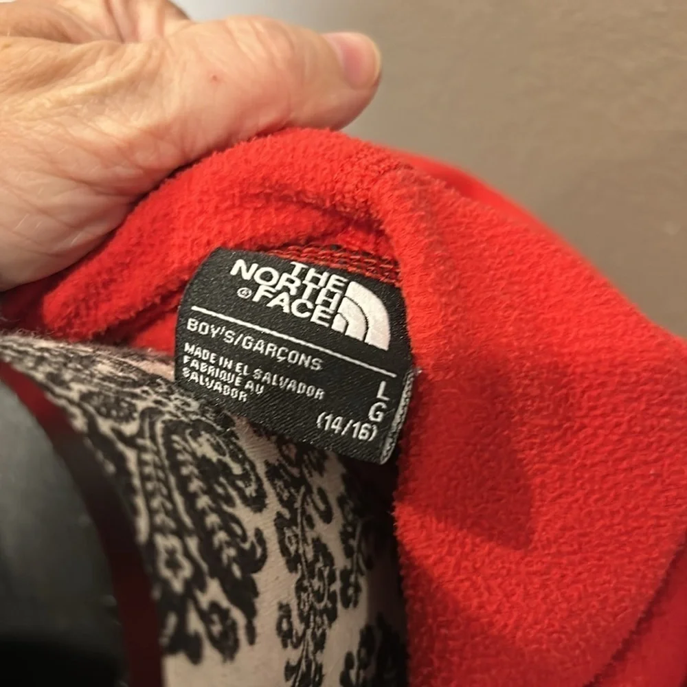 The North Face Agave Fleece Hoodie